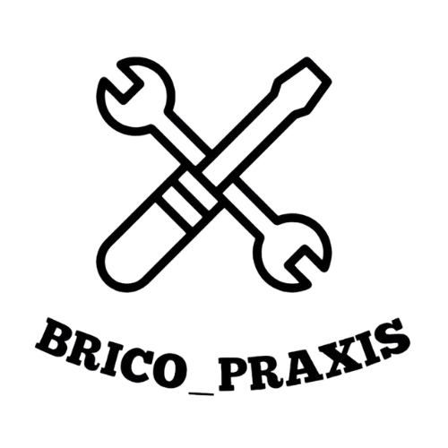 Brico Praxis